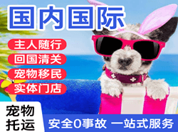 佳木斯东郊空运地址国际宠物托运 【国